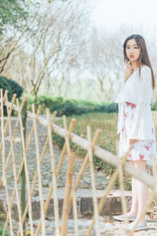 《越战女兵》电影在线观看